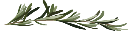 Rosemary twig